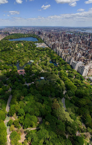 Central Park (New York) dans La Tour Sombre