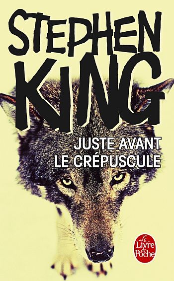 Connexions entre Juste avant le crépuscule et La Tour Sombre